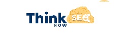 Think SEO Now